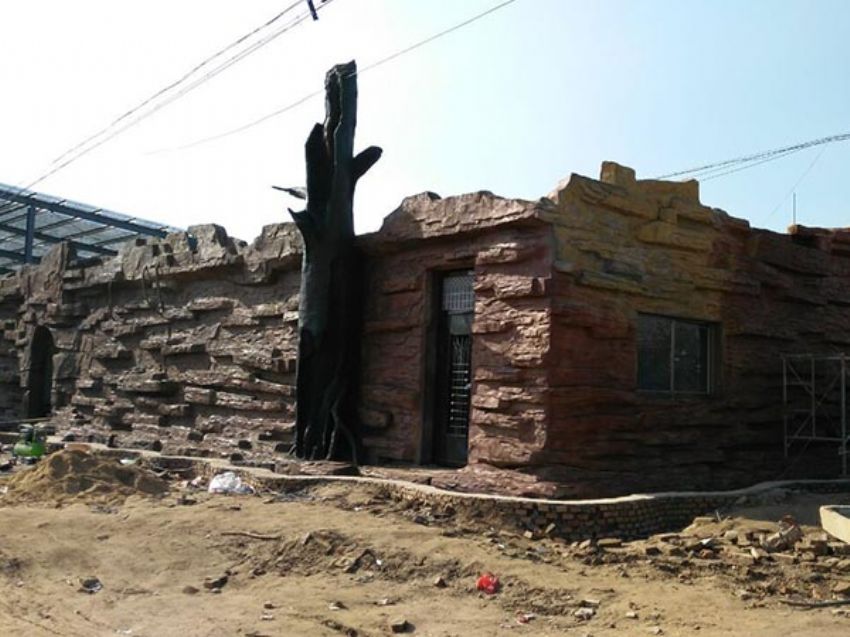 點擊查看詳細信息<br>標題：假房子 閱讀次數：1419