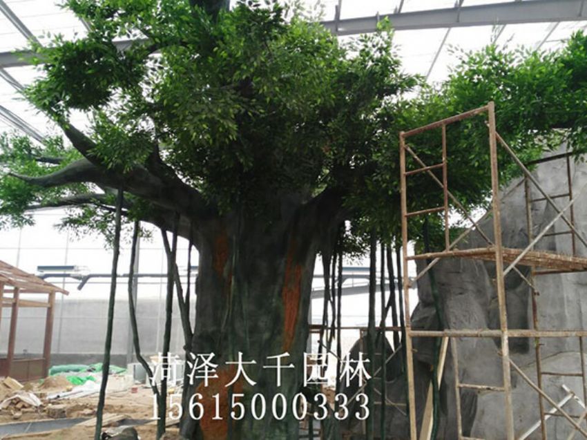 點擊查看詳細信息<br>標題：假樹 閱讀次數：1542