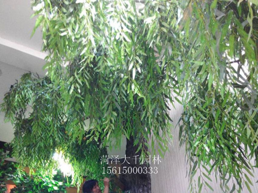 點擊查看詳細信息<br>標題：假樹 閱讀次數(shù)：1470