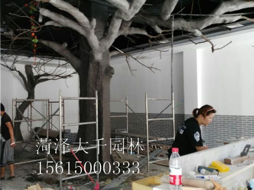 點擊查看詳細信息<br>標題：假樹 閱讀次數(shù)：1475