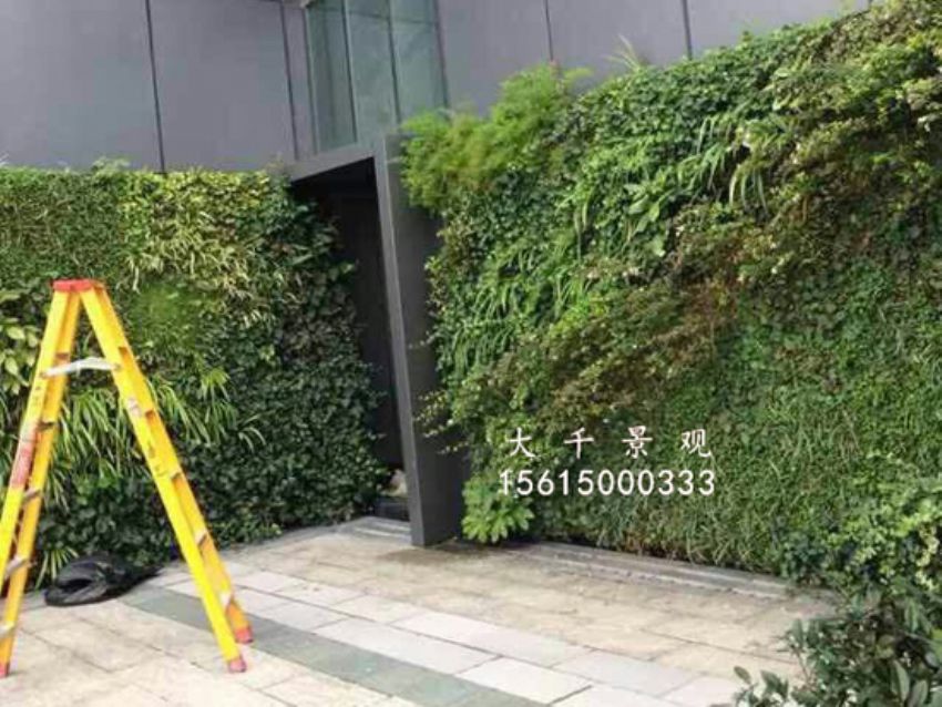 點擊查看詳細信息<br>標題：綠植墻 閱讀次數：1629