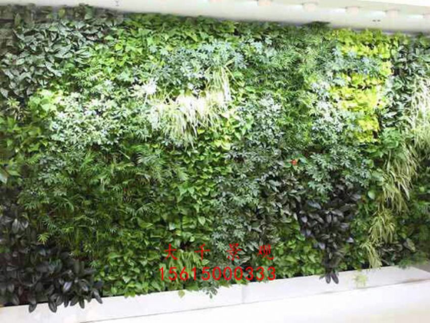 點擊查看詳細信息<br>標題：綠植墻 閱讀次數：2546