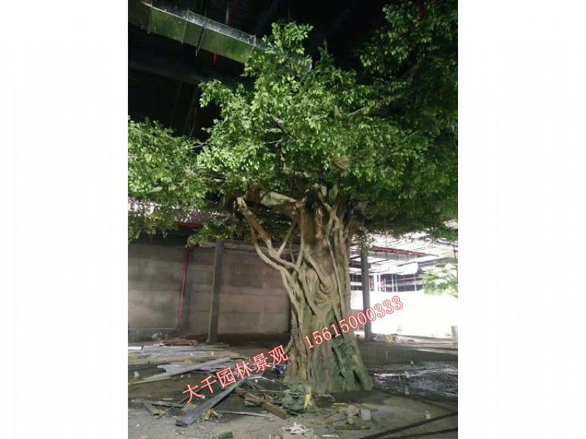 點擊查看詳細信息<br>標題：假樹 閱讀次數：2636