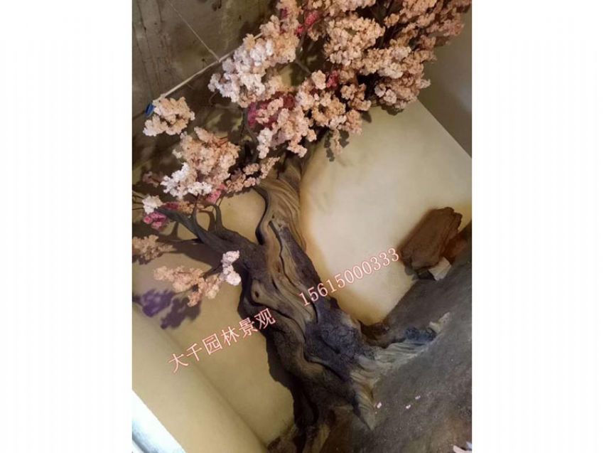 點擊查看詳細信息<br>標題：假樹 閱讀次數：2672